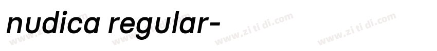 nudica regular字体转换